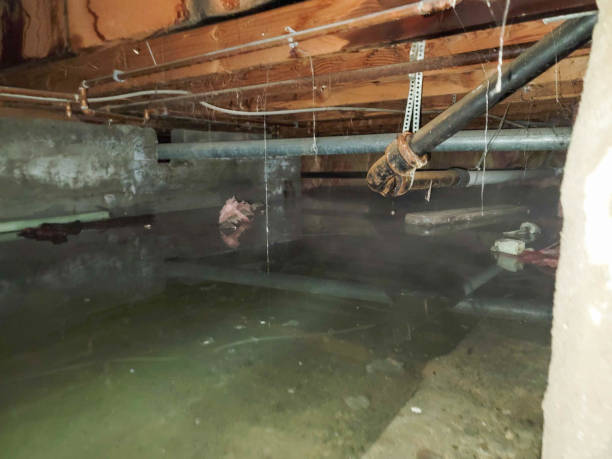 Professional Water damage restoration in Chico, WA