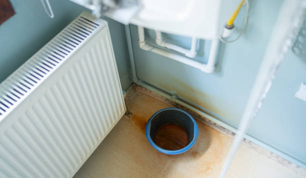 Best Sewage cleanup and water damage restoration  in Chico, WA